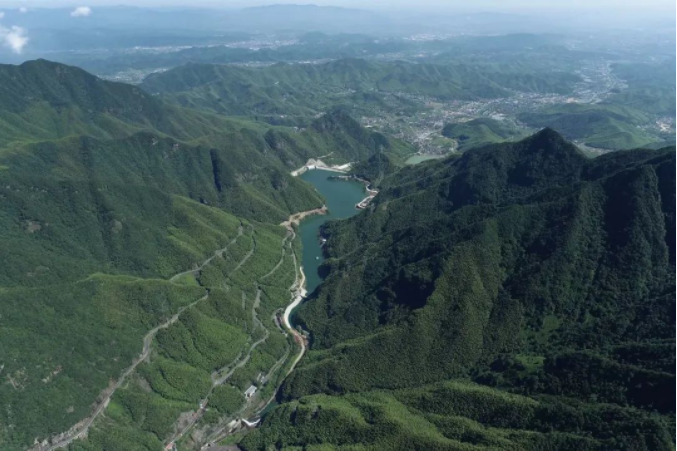 6CED9917F9DB7E4C5256A2C624D_6420F716_A39EE