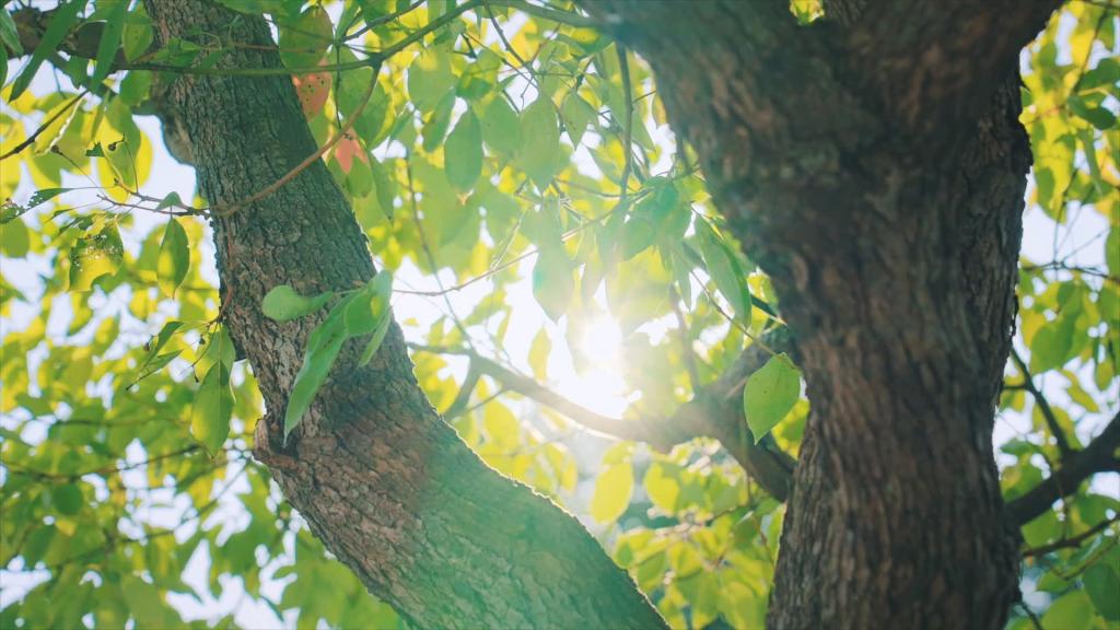 东升国际(中国游)官网 - 首页入口