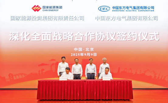 ACEA7334F7BFE3080FDC8CE0FA0_593D052C_B778A