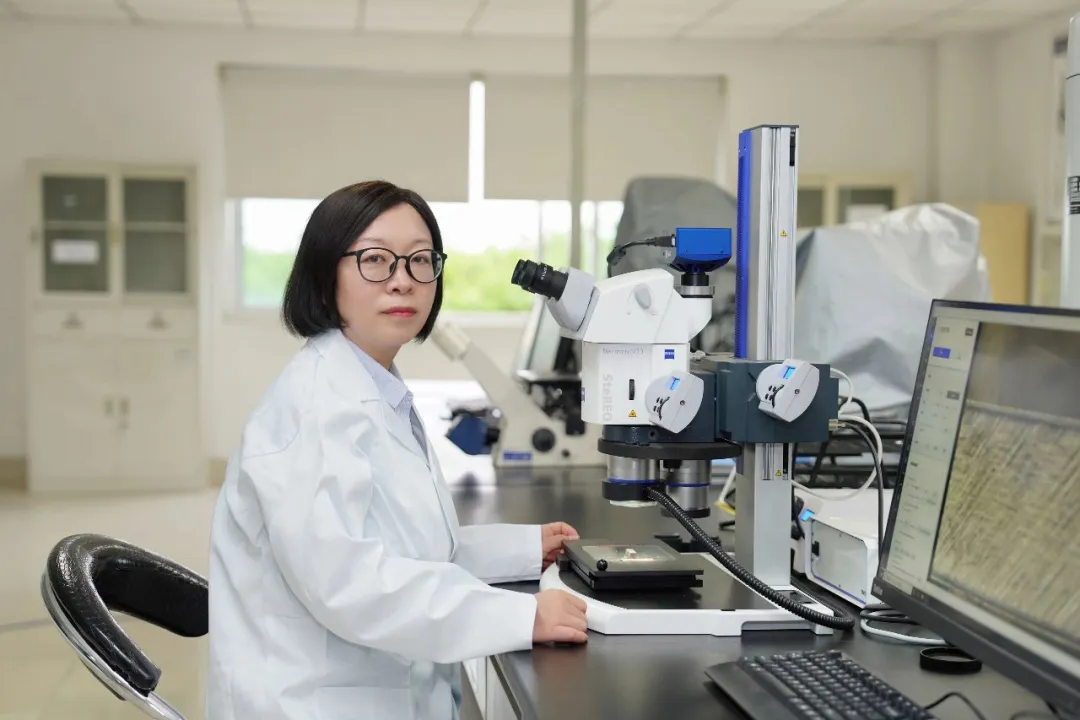 东升国际(中国游)官网 - 首页入口