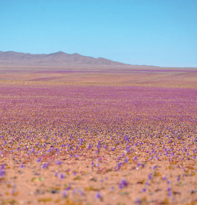 385063647BEC9210104A808792B_9DB69048_4A428