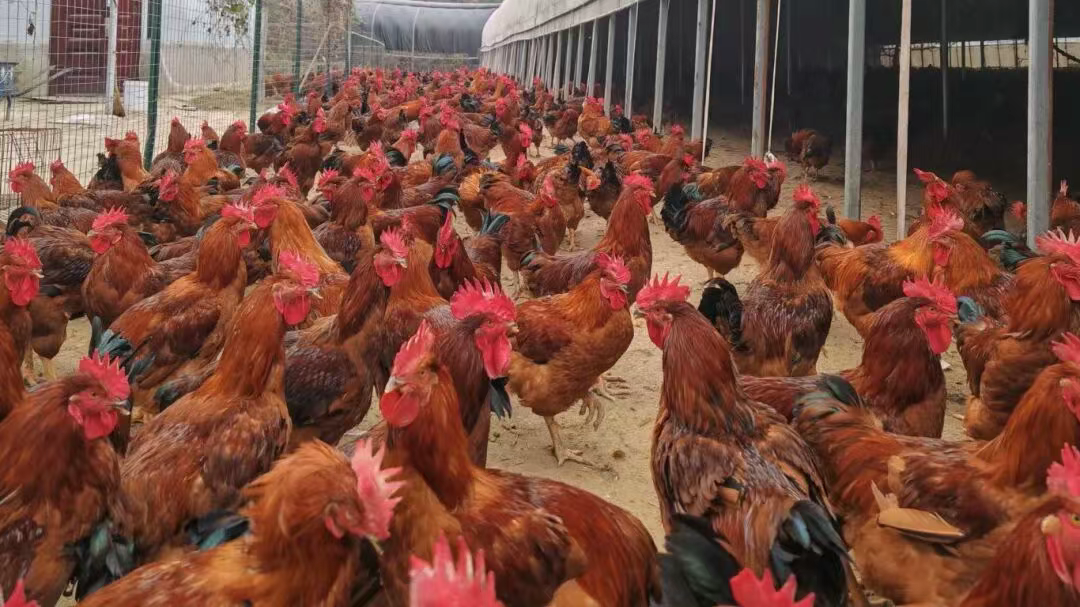 588B506CB990F09226CC608A362_8B5E0F75_FA849