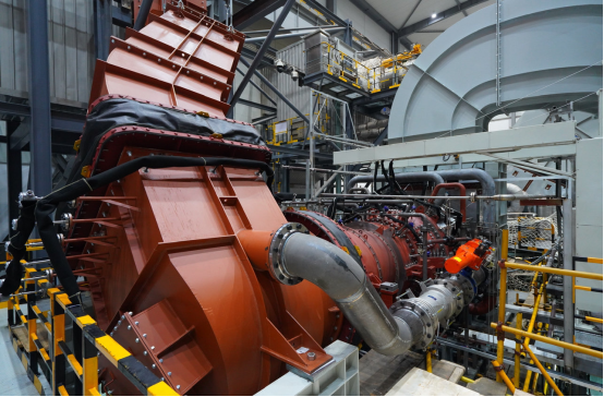 9ACF38187E2F1E18E805484DBA5_EE71BF0A_C55B5