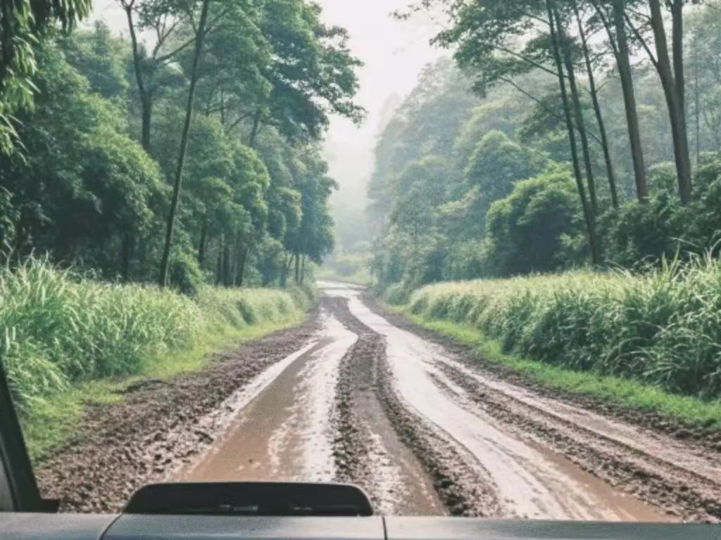 DE42C0396028BA8AE7640023AA6_32829026_1D30C