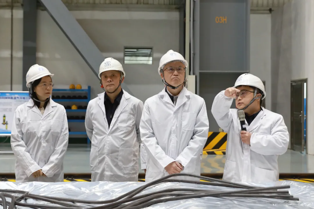 81B4BDF16268005DEF7ED8CB7A4_434A5050_F28FE