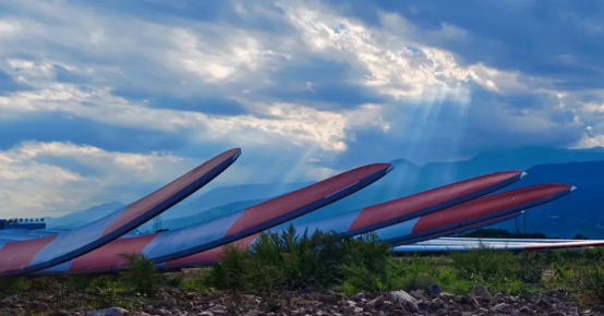 F04B2CC05C59D6BC16F6A10E9FB_9A9D455F_9D3D2