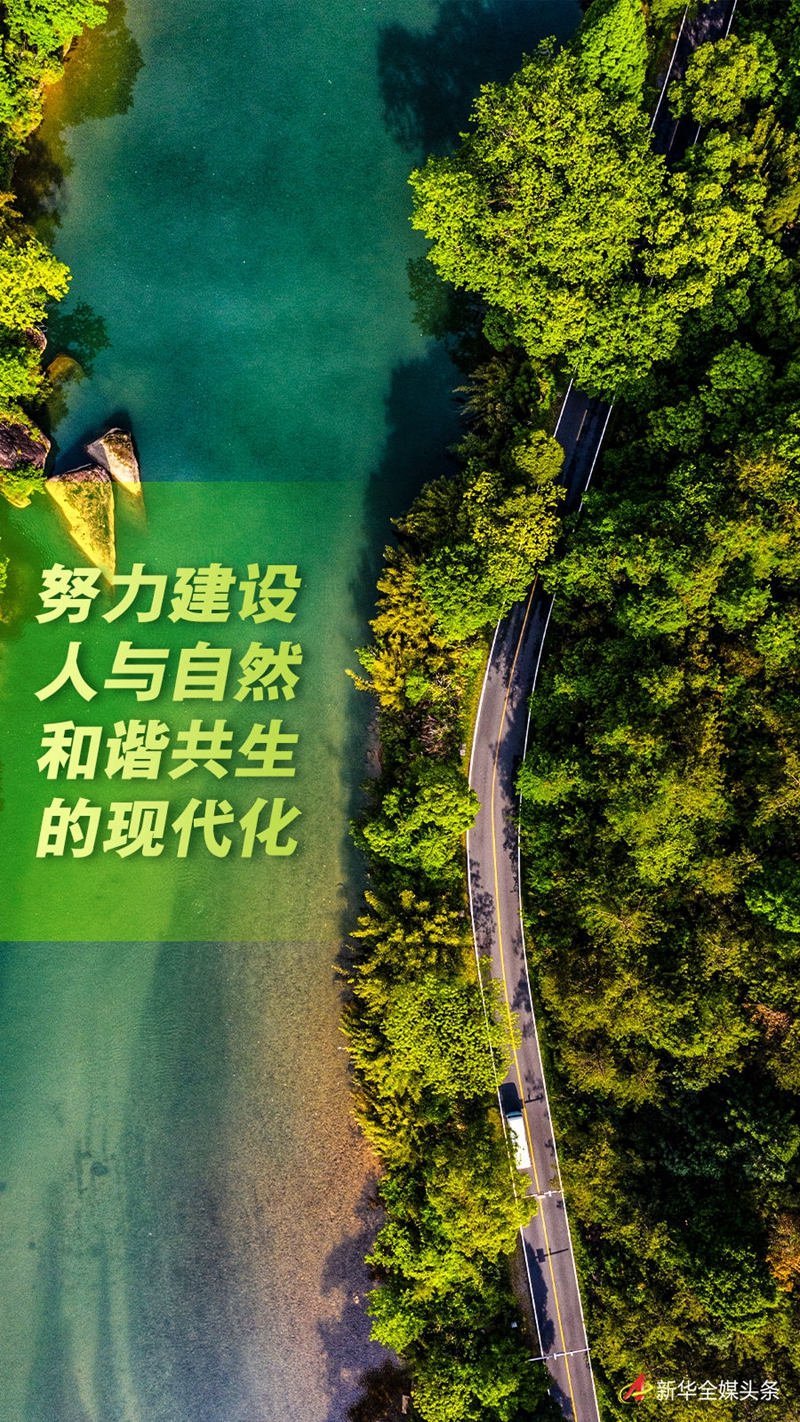 2E39EC493340728C34176E1D0EC_62A8BB17_14D3CB.jpg?e=