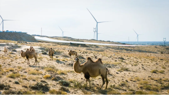 BEACEF704692464A095AA54A780_46435416_A8DC5