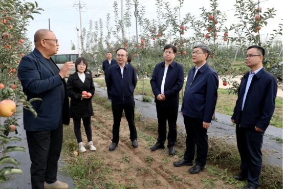 C78DACA31C235D52F8388CF1FF1_B1630E93_C7B4A