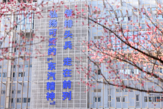 F012187B39A719A2A4FBCA16CBC_44DD8552_C7B4A