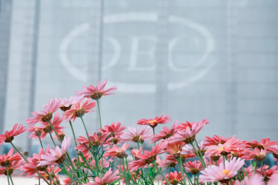 72366F3B8D0E0BB5B479E332511_EAC26092_C7B4A