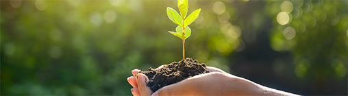 东升国际(中国游)官网 - 首页入口